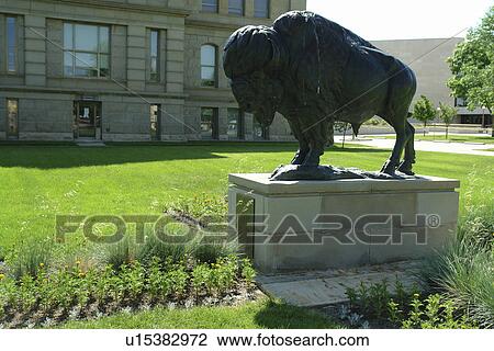 Cheyenne, WY, Wyoming, State Capitol, bison statue View Large Photo Image Stock Image - Cheyenne, WY, Wyoming, State Capitol, bison statue. Fotosearch