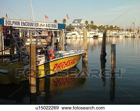 Clearwater Beach, St. Petersburg, FL, Florida, Tampa Bay Area, marina, parasail rentals, boats View Large Photo Image Stock Photo - Clearwater Beach, St. Petersburg, FL, Florida, Tampa Bay Area, marina, parasail rentals, boats. Fotosearch