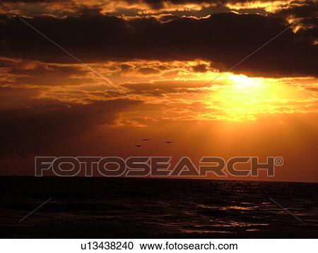 Stock Image -  Daytona Beach, FL, Florida, Daytona Beach Shores, Atlantic Ocean, sunrise. Fotosearch