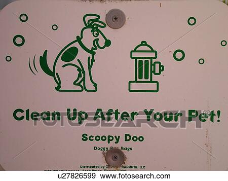 Daytona Beach, FL, Florida, Daytona Beach Shores, Atlantic Ocean, Ocean Walk, beach signs, clean up after your pet View Large Photo Image Stock Photo - Daytona Beach, FL, Florida, Daytona Beach Shores, Atlantic Ocean, Ocean Walk, beach signs, clean up after your pet. Fotosearch