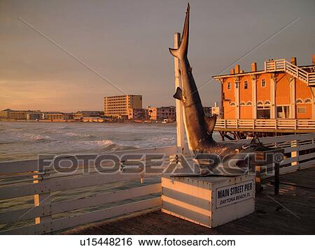Daytona Beach, FL, Florida, Daytona Beach Shores, Atlantic Ocean, Main Street Pier & Boardwalk, Shark statue View Large Photo Image Stock Photograph - Daytona Beach, FL, Florida, Daytona Beach Shores, Atlantic Ocean, Main Street Pier & Boardwalk, Shark statue. Fotosearch