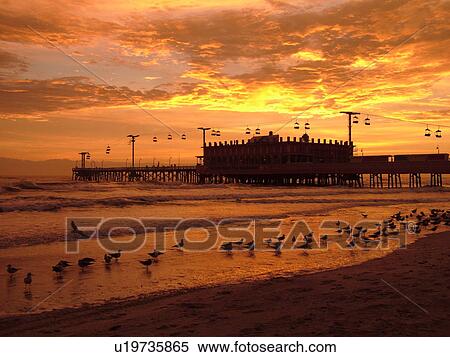 Stock Photography -  Daytona Beach, FL, Florida, Daytona Beach Shores, Atlantic Ocean, beaches, sunrise, Main Street Pier & Boardwalk, seabirds. Fotosearch