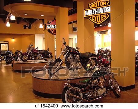Daytona Beach, FL, Florida, New Harley Davidson Motorcycle Shop, showroom View Large Photo Image Stock Image - Daytona Beach, FL, Florida, New Harley Davidson Motorcycle Shop, showroom. Fotosearch