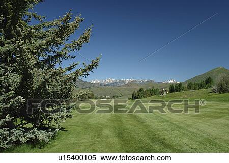 Stock Photography -  Elkhorn, ID, Idaho, Elkhorn Golf Course. Fotosearch