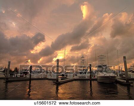 Fort Lauderdale, FL, Florida, Intracoastal Waterway, marina, yachts, sunset View Large Photo Image Stock Image - Fort Lauderdale, FL, Florida, Intracoastal Waterway, marina, yachts, sunset. Fotosearch