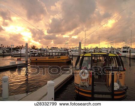 Stock Photo -  Fort Lauderdale, FL, Florida, Intracoastal Waterway, Water Bus, marina, sunset. Fotosearch