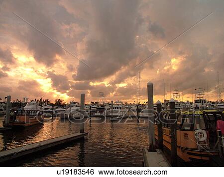 Stock Photograph -  Fort Lauderdale, FL, Florida, Intracoastal Waterway, Water Bus, marina, sunset. Fotosearch