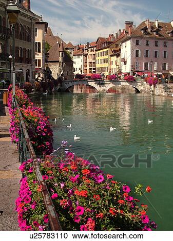 France, Annecy, Haute-Savoie, Rhone-Alpes, Europe, Thiou Canal, village, old quarter, flower-covered bridges and pedestrian streets View Large Photo Image Stock Image - France, Annecy, Haute-Savoie, Rhone-Alpes, Europe, Thiou Canal, village, old quarter, flower-covered bridges and pedestrian streets. Fotosearch