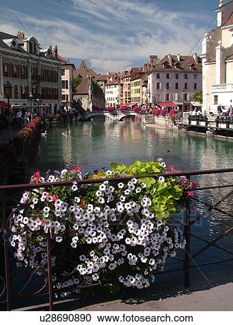 France, Annecy, Haute-Savoie, Rhone-Alpes, Europe, Thiou Canal, village, old quarter, flower-covered bridges View Large Photo Image Stock Image - France, Annecy, Haute-Savoie, Rhone-Alpes, Europe, Thiou Canal, village, old quarter, flower-covered bridges. Fotosearch