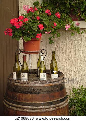 France, Chiroubles, Rhone-Alpes, Europe, Beaujolais Region, wine barrel with wine bottles, flower pot with geraniums View Large Photo Image Stock Photograph - France, Chiroubles, Rhone-Alpes, Europe, Beaujolais Region, wine barrel with wine bottles, flower pot with geraniums. Fotosearch
