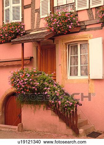 France, Europe, Alsace, Eguisheim, Haut-Rhin, L'Alsace Wine Region, Route du Vin, downtown, flowers decorate the front of a pink house View Large Photo Image Stock Image - France, Europe, Alsace, Eguisheim, Haut-Rhin, L'Alsace Wine Region, Route du Vin, downtown, flowers decorate the front of a pink house. Fotosearch