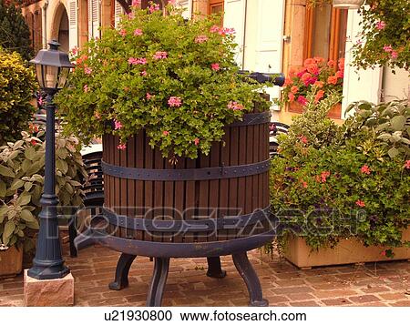 Stock Image -  France, Europe, Alsace, Eguisheim, Haut-Rhin, L'Alsace Wine Region, Route du Vin, downtown, old wooden wine press filled with flowers, winery. Fotosearch