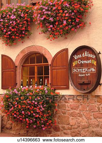 France, Europe, Alsace, Itterswiller, Bas-Rhin, L'Alsace Wine Region, Route du Vin, village, wine tasting, window boxes, flowers View Large Photo Image Stock Image - France, Europe, Alsace, Itterswiller, Bas-Rhin, L'Alsace Wine Region, Route du Vin, village, wine tasting, window boxes, flowers. Fotosearch