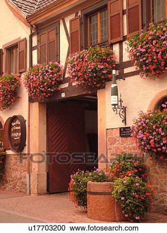 France, Europe, Alsace, Itterswiller, Bas-Rhin, L'Alsace Wine Region, Route du Vin, village, wine tasting, window boxes, flowers View Large Photo Image Stock Image - France, Europe, Alsace, Itterswiller, Bas-Rhin, L'Alsace Wine Region, Route du Vin, village, wine tasting, window boxes, flowers. Fotosearch