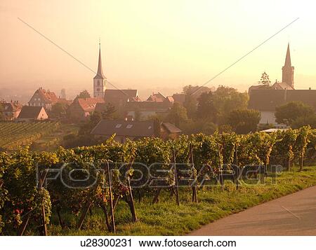 France, Europe, Alsace, Itterswiller, Bas-Rhin, L'Alsace Wine Region, Route du Vin, village, vineyards, fog View Large Photo Image Stock Image - France, Europe, Alsace, Itterswiller, Bas-Rhin, L'Alsace Wine Region, Route du Vin, village, vineyards, fog. Fotosearch