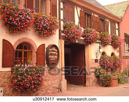 France, Europe, Alsace, Itterswiller, Bas-Rhin, L'Alsace Wine Region, Route du Vin, village, wine tasting, window boxes, flowers View Large Photo Image Stock Photo - France, Europe, Alsace, Itterswiller, Bas-Rhin, L'Alsace Wine Region, Route du Vin, village, wine tasting, window boxes, flowers. Fotosearch