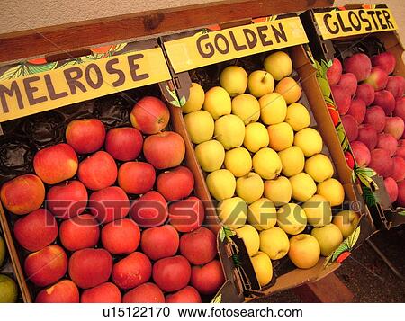 Stock Image -  France, Europe, Alsace, Mittelwihr, Haut-Rhin, L'Alsace Wine Region, Route du Vin, farmers market, Gloster, Golden, Melrose apple. Fotosearch
