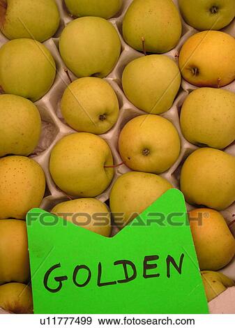 France, Europe, Alsace, Mittelwihr, Haut-Rhin, L'Alsace Wine Region, Route du Vin, farmers market, Golden apples View Large Photo Image Stock Photo - France, Europe, Alsace, Mittelwihr, Haut-Rhin, L'Alsace Wine Region, Route du Vin, farmers market, Golden apples. Fotosearch