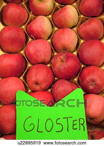 France, Europe, Alsace, Mittelwihr, Haut-Rhin, L'Alsace Wine Region, Route du Vin, farmers market, Gloster apples View Large Photo Image Stock Photo - France, Europe, Alsace, Mittelwihr, Haut-Rhin, L'Alsace Wine Region, Route du Vin, farmers market, Gloster apples. Fotosearch