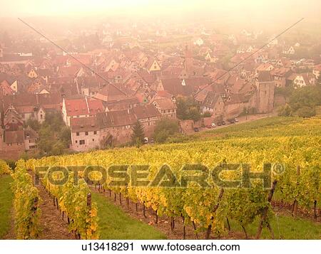 France, Europe, Alsace, Riquewihr, Haut-Rhin, L'Alsace Wine Region, Route du Vin, vineyards, village, fog View Large Photo Image Stock Image - France, Europe, Alsace, Riquewihr, Haut-Rhin, L'Alsace Wine Region, Route du Vin, vineyards, village, fog. Fotosearch