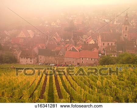France, Europe, Alsace, Riquewihr, Haut-Rhin, L'Alsace Wine Region, Route du Vin, vineyards, village, fog View Large Photo Image Stock Image - France, Europe, Alsace, Riquewihr, Haut-Rhin, L'Alsace Wine Region, Route du Vin, vineyards, village, fog. Fotosearch