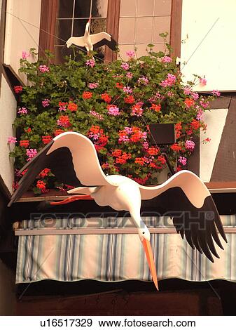 France, Europe, Alsace, Riquewihr, Haut-Rhin, L'Alsace Wine Region, Route du Vin, downtown, artificial storks hanging outside a store, symbol of good fortune View Large Photo Image Stock Photo - France, Europe, Alsace, Riquewihr, Haut-Rhin, L'Alsace Wine Region, Route du Vin, downtown, artificial storks hanging outside a store, symbol of good fortune. Fotosearch