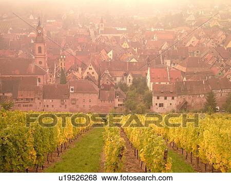 Stock Photo -  France, Europe, Alsace, Riquewihr, Haut-Rhin, L'Alsace Wine Region, Route du Vin, vineyards, village, fog. Fotosearch