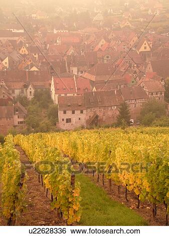 France, Europe, Alsace, Riquewihr, Haut-Rhin, L'Alsace Wine Region, Route du Vin, vineyards, village, fog View Large Photo Image Stock Photograph - France, Europe, Alsace, Riquewihr, Haut-Rhin, L'Alsace Wine Region, Route du Vin, vineyards, village, fog. Fotosearch