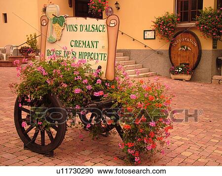 Stock Image -  France, Europe, Alsace, St-Hippolyte, Haut-Rhine, L'Alsace Wine Region, Route du Vin, village, winery, wooden cart decorated with flowers. Fotosearch