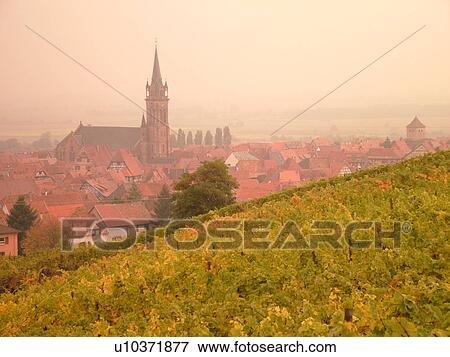 Stock Photo -  France, Europe, Alsace, Dambach-la-Ville, Bas-Rhin, L'Alsace Wine Region, Route du Vin, vineyards, village, fog. Fotosearch