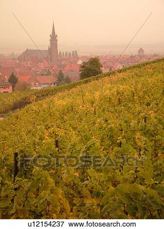 France, Europe, Alsace, Dambach-la-Ville, Bas-Rhin, L'Alsace Wine Region, Route du Vin, vineyards, village, fog View Large Photo Image Stock Photo - France, Europe, Alsace, Dambach-la-Ville, Bas-Rhin, L'Alsace Wine Region, Route du Vin, vineyards, village, fog. Fotosearch