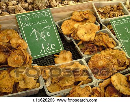 Stock Image -  France, Lyon, Rhone-Alpes, Europe, downtown, City Market, mushrooms. Fotosearch