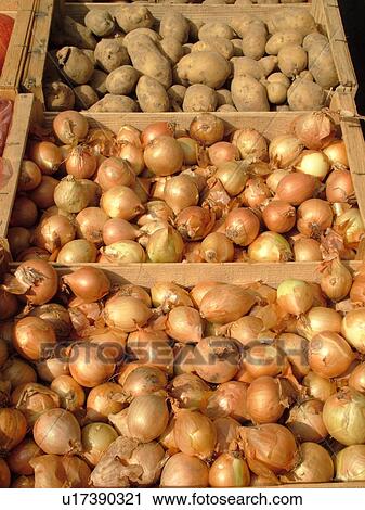 Stock Image -  France, Lyon, Rhone-Alpes, Europe, downtown, City Market, onions, potatoes. Fotosearch