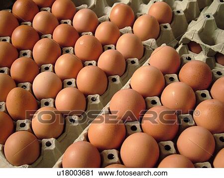 Stock Image -  France, Lyon, Rhone-Alpes, Europe, downtown, City Market, eggs. Fotosearch