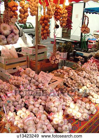 France, Lyon, Rhone-Alpes, Europe, downtown, City Market, garlic View Large Photo Image Stock Photo - France, Lyon, Rhone-Alpes, Europe, downtown, City Market, garlic. Fotosearch