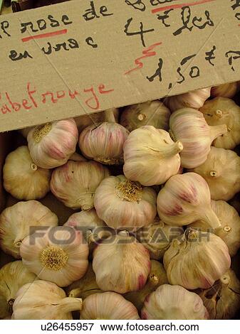 Stock Photo -  France, Lyon, Rhone-Alpes, Europe, downtown, City Market, garlic. Fotosearch