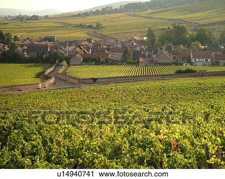 Stock Image -  France, Pommard, Burgundy, Cote de Beaune, Cote d'Or, Europe, Burgundy Wine Region, vineyards, village. Fotosearch