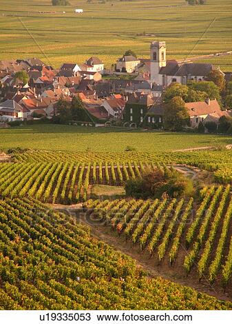 France, Pommard, Burgundy, Cote de Beaune, Cote d'Or, Europe, Burgundy Wine Region, vineyards, village View Large Photo Image Stock Image - France, Pommard, Burgundy, Cote de Beaune, Cote d'Or, Europe, Burgundy Wine Region, vineyards, village. Fotosearch