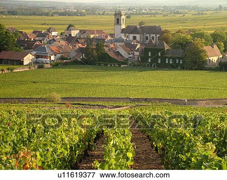 Stock Photo -  France, Pommard, Burgundy, Cote de Beaune, Cote d'Or, Europe, Burgundy Wine Region, vineyards, village. Fotosearch