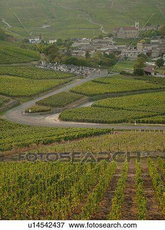 Stock Photo -  France, Pouilly Fuisse, Soane et Loire, Europe, Beaujolais Region, Pouilly Fuisse Region, village, vineyards, wine producing region. Fotosearch