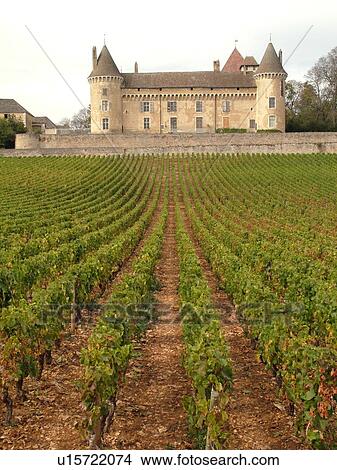 France, Rully, Burgundy, Saone et Loire, Europe, Burgundy Wine Region, Chateau, vineyards View Large Photo Image Picture - France, Rully, Burgundy, Saone et Loire, Europe, Burgundy Wine Region, Chateau, vineyards. Fotosearch