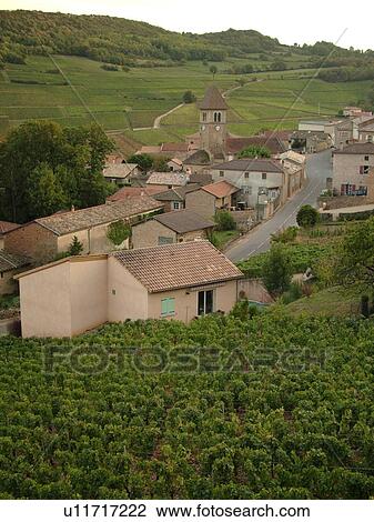 Stock Image -  France, Solutre, Soane et Loire, Europe, Beaujolais Region, Pouilly Fuisse Region, village, vineyards, wine producing region. Fotosearch