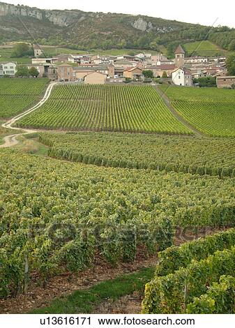 France, Solutre, Soane et Loire, Europe, Beaujolais Region, Pouilly Fuisse Region, village, vineyards, wine producing region View Large Photo Image Stock Image - France, Solutre, Soane et Loire, Europe, Beaujolais Region, Pouilly Fuisse Region, village, vineyards, wine producing region. Fotosearch