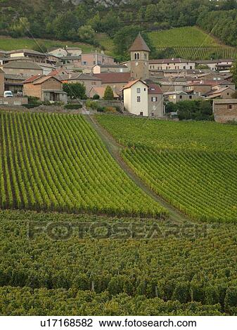 France, Solutre, Soane et Loire, Europe, Beaujolais Region, Pouilly Fuisse Region, village, vineyards, wine producing region View Large Photo Image Stock Image - France, Solutre, Soane et Loire, Europe, Beaujolais Region, Pouilly Fuisse Region, village, vineyards, wine producing region. Fotosearch