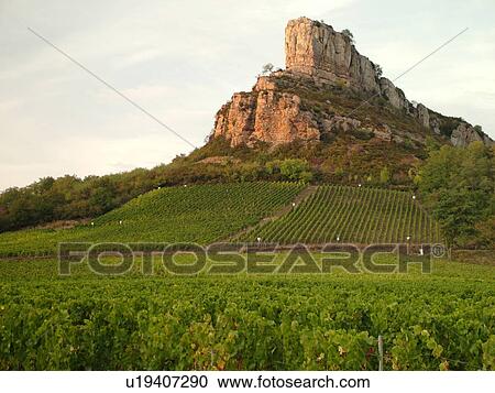 France, Solutre, Soane et Loire, Europe, Beaujolais Region, Pouilly Fuisse Region, La Roche De Solutre, vineyards, wine producing region View Large Photo Image Stock Image - France, Solutre, Soane et Loire, Europe, Beaujolais Region, Pouilly Fuisse Region, La Roche De Solutre, vineyards, wine producing region. Fotosearch