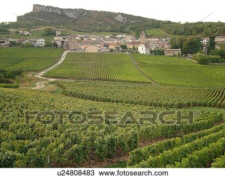 France, Solutre, Soane et Loire, Europe, Beaujolais Region, Pouilly Fuisse Region, village, vineyards, wine producing region View Large Photo Image Stock Image - France, Solutre, Soane et Loire, Europe, Beaujolais Region, Pouilly Fuisse Region, village, vineyards, wine producing region. Fotosearch