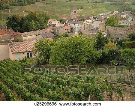 Stock Photograph -  France, Solutre, Soane et Loire, Europe, Beaujolais Region, Pouilly Fuisse Region, village, vineyards, wine producing region. Fotosearch