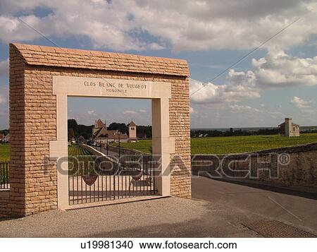 Stock Image -  France, Vougeot, Burgundy, Cote de Nuits, Cote d'Or, Europe, Burgundy Wine Region, Clos Blanc de Vougeot, winery. Fotosearch