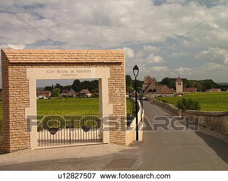 Stock Photo -  France, Vougeot, Burgundy, Cote de Nuits, Cote d'Or, Europe, Burgundy Wine Region, Clos Blanc de Vougeot, winery, vineyards. Fotosearch