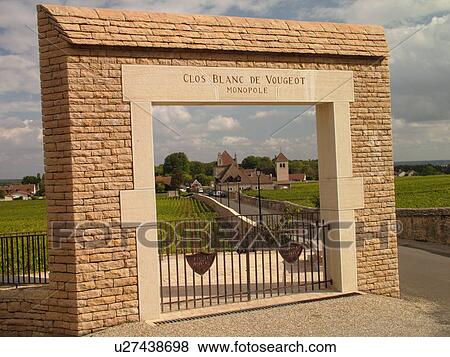 Stock Photo -  France, Vougeot, Burgundy, Cote de Nuits, Cote d'Or, Europe, Burgundy Wine Region, Clos Blanc de Vougeot, winery, vineyards. Fotosearch